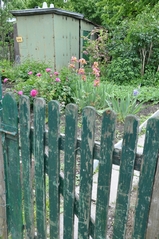 Cliquez sur la vignette pour l'agrandir
